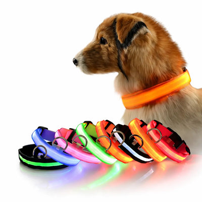 Işıklı Kedi Köpek Boyun Tasması Renkli Pilli Small