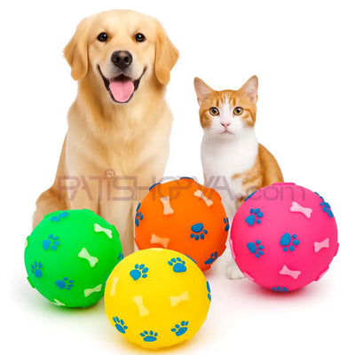 Pati Kemik Desenli Sesli Oyun Topu (KARTON ASKILI) Köpek Oyuncakları