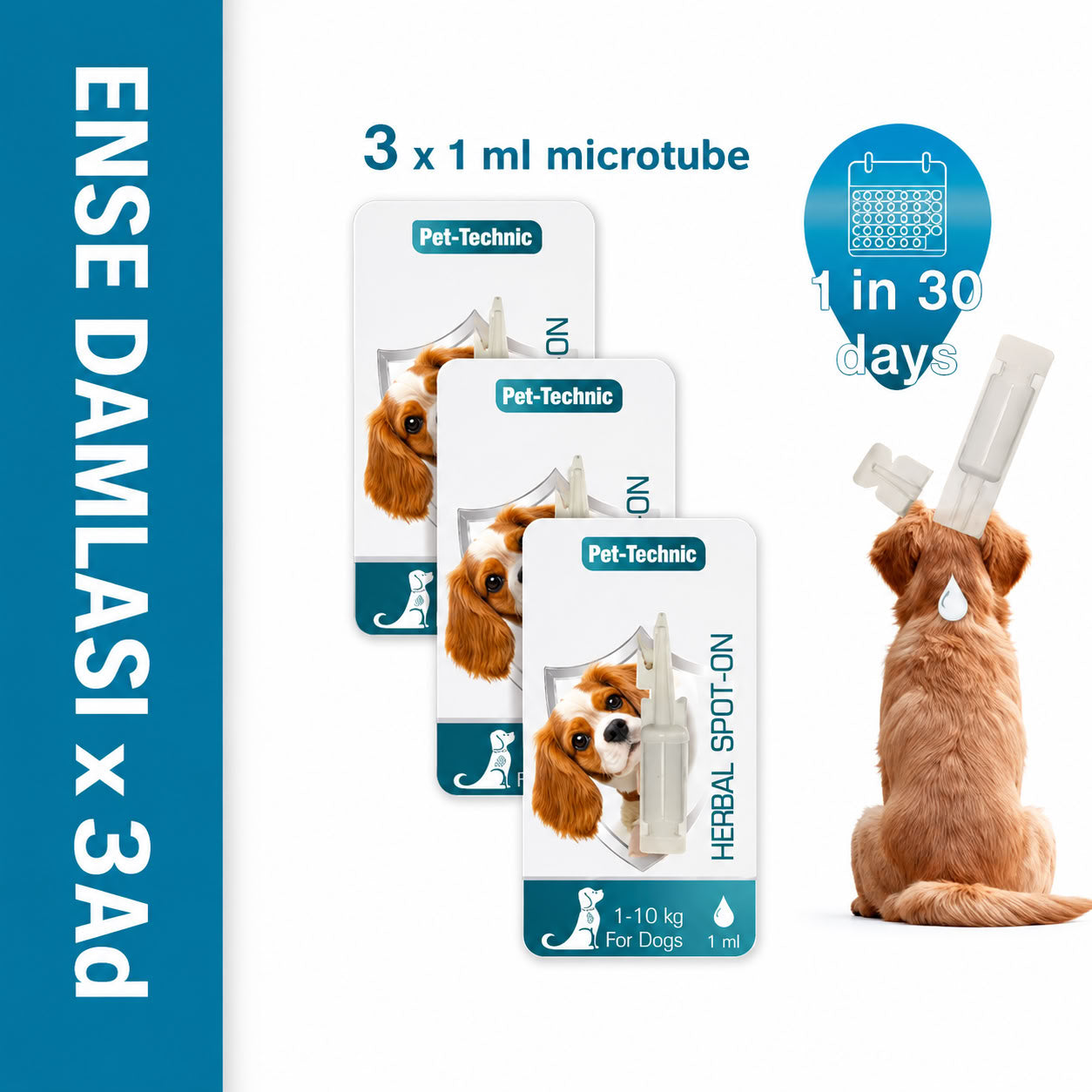 Pet-Technic 3 ADET Ense Damlası Köpek 1-10 Kg 3x1 ml (Deri ve tüy Bakım ürünü)