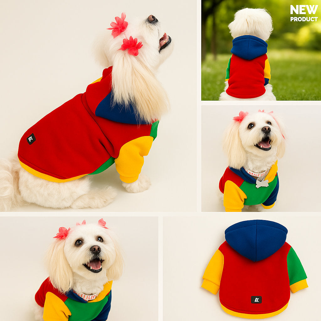 Colorful Sweatshirt S-M-M-L-XL (5 BEDEN SET)