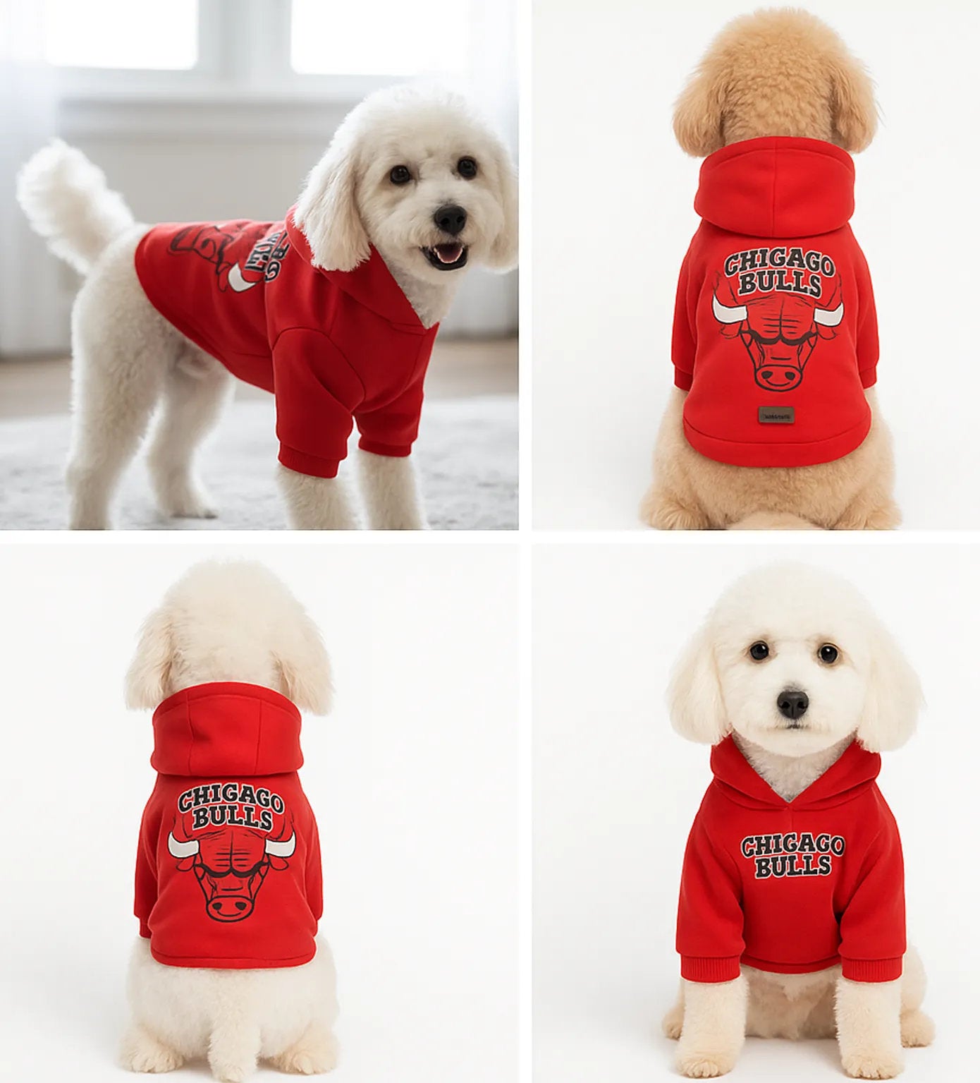 Chicago Bulls Sweatshirt S-M-M-L-XL (5 BEDEN SET)