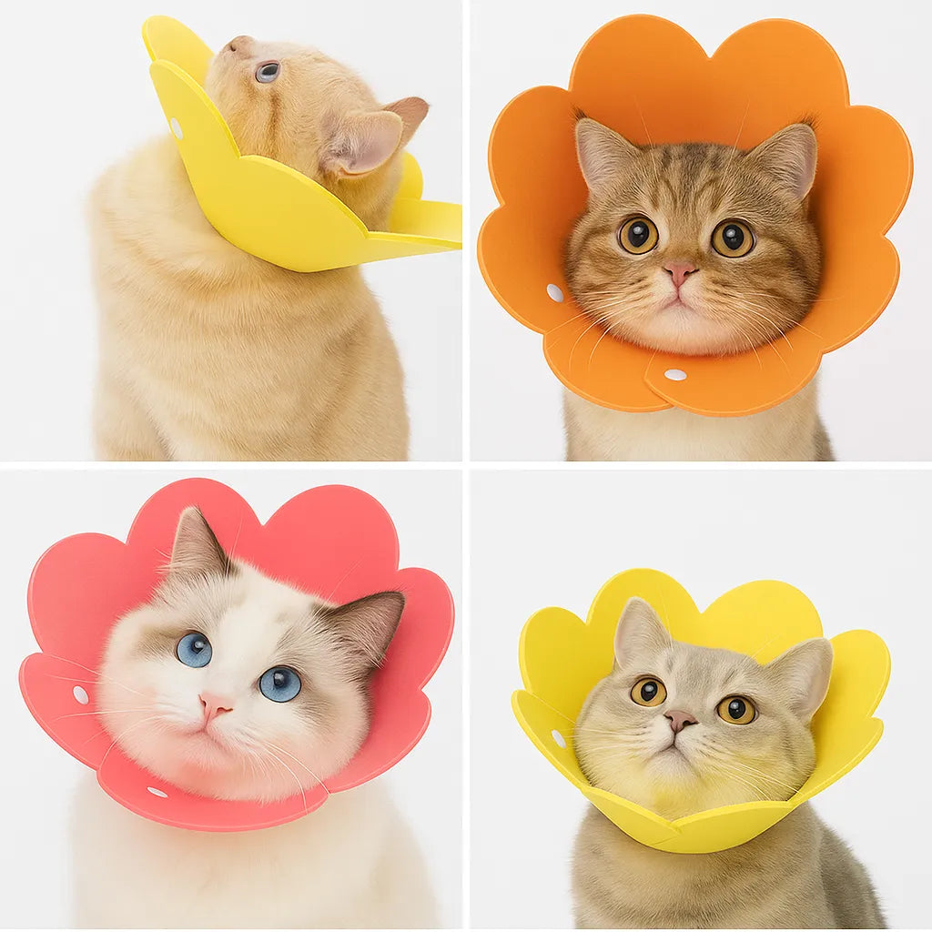 L Evcil Hayvan Elizabeth Yakalık Kelepçeli