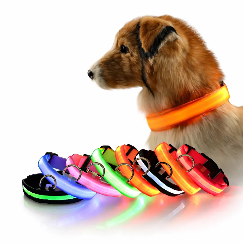 Işıklı Kedi Köpek Boyun Tasması Renkli Pilli Small