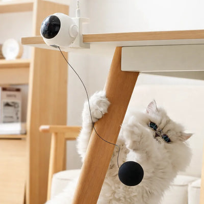 Otomatik Geri Çekilen İnteraktif Kedi Oyuncağı Pilli (Kutulu)