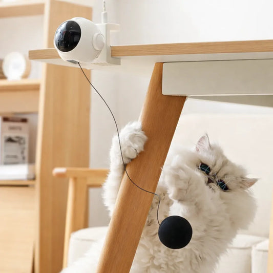 Otomatik Geri Çekilen İnteraktif Kedi Oyuncağı Pilli (Kutulu)