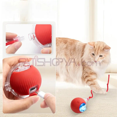 3 Modlu Şarjı İpli Akıllı Kedi Oyun Topu Kedi Oyuncakları