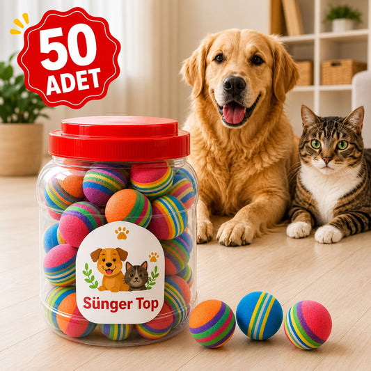 Gökkuşağı Sünger Top (50 Adet Kutulu)