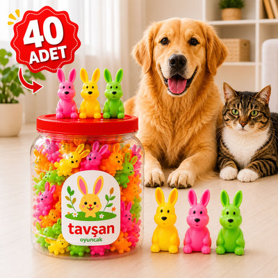 Tavşan Model Sesli Plastik Kedi Köpek Oyuncağı (40 Adet Kutulu)