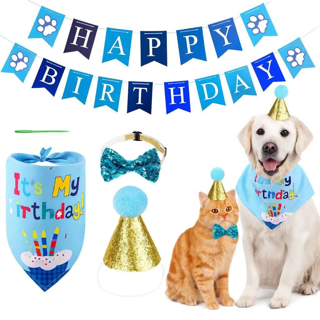 Evcil Hayvan Doğum Günü Süs Malzeme Seti
