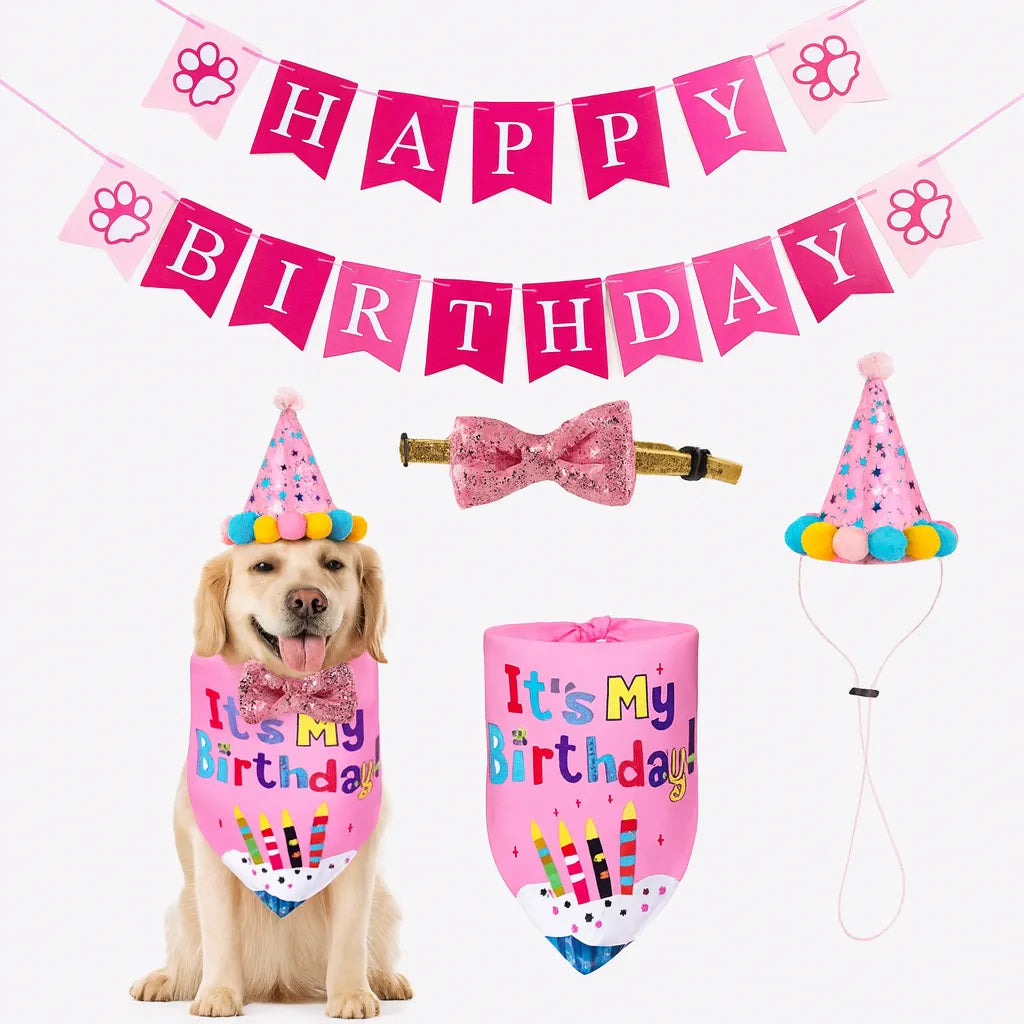 Evcil Hayvan Doğum Günü Süs Malzeme Seti