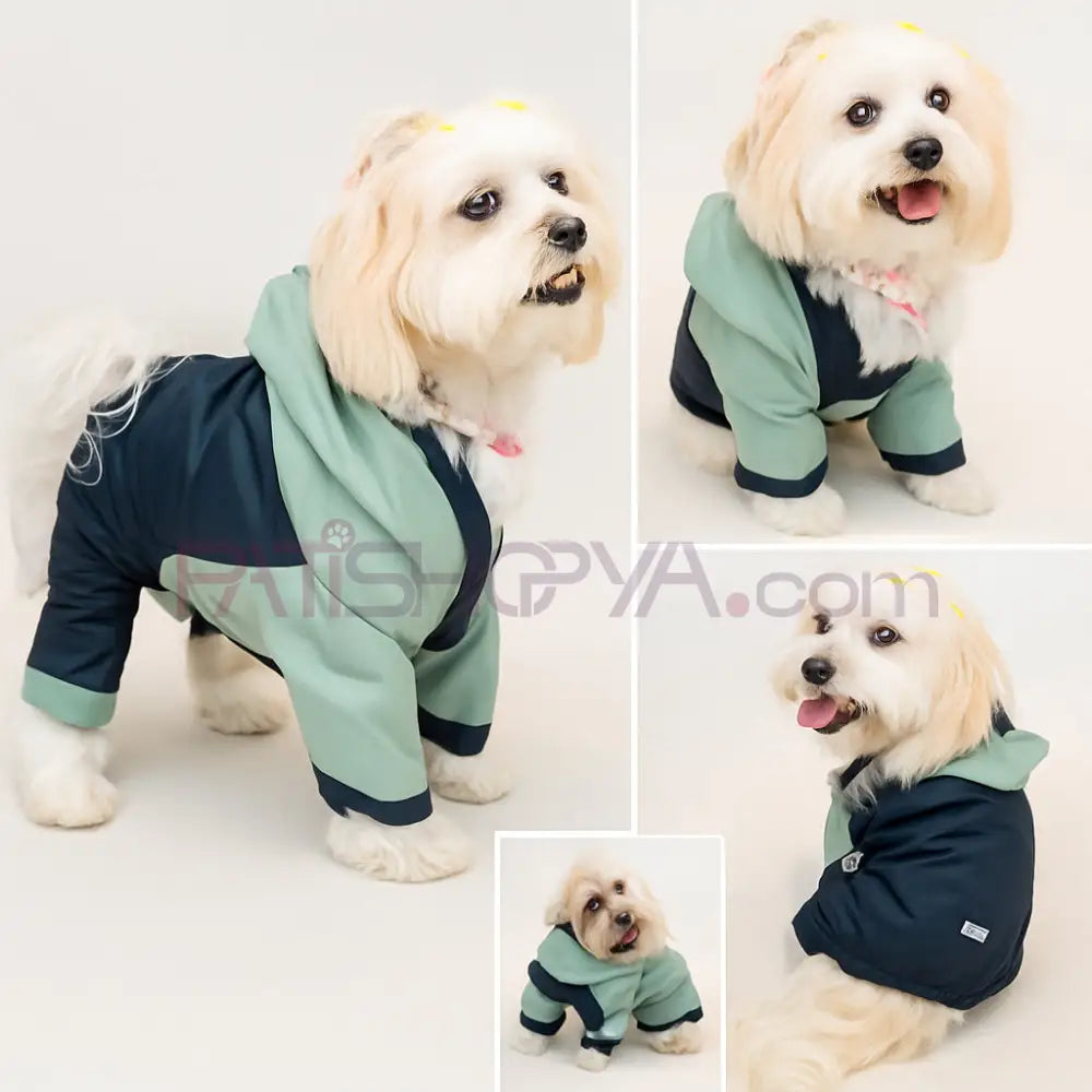 4 Bacak Yağmurluk M-L-XL-2XL-3XL 5 BEDEN SET Kedi ve Köpek Kıyafeti