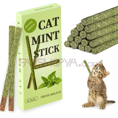 6LI KUTU Catnipli Matatabi Çubuğu (KUTULU)