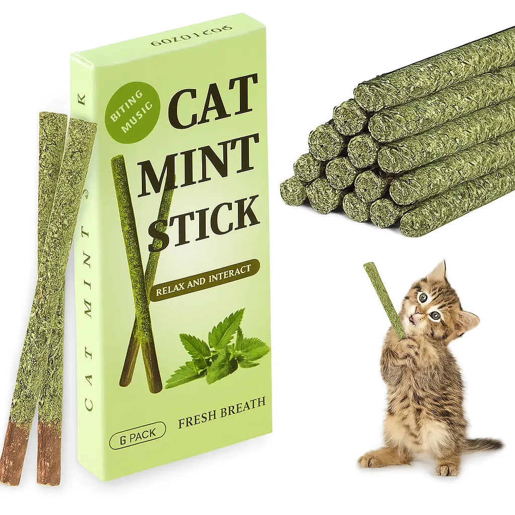 6LI KUTU Catnipli Matatabi Çubuğu (KUTULU)