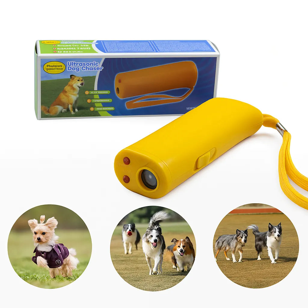 KÖPEK KOVUCU (KUTULU)