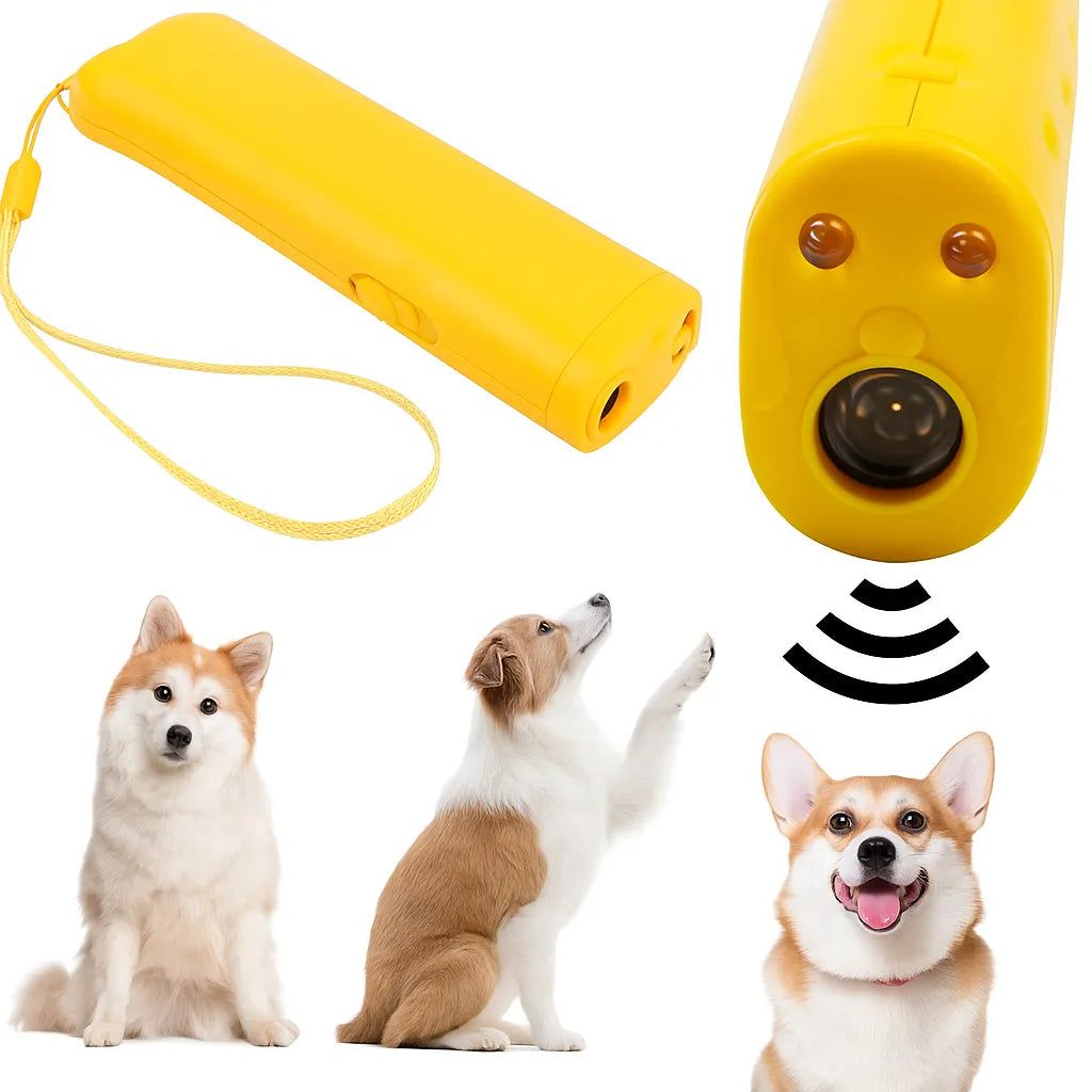 KÖPEK KOVUCU (KUTULU)