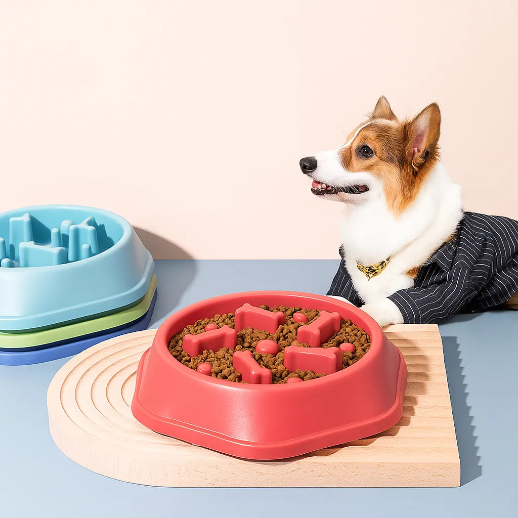 Obezite Engelleyici Yavaş Yeme Mama Kabı