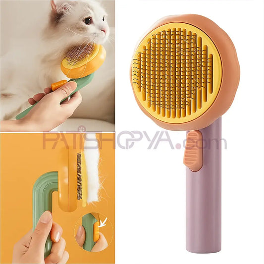 Balkabağı Tasarımlı Basmalı Tarak (KUTULU) Kedi ve Köpek Tarak Fırçalar