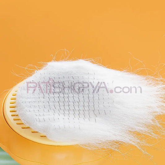 Balkabağı Tasarımlı Basmalı Tarak (KUTULU) Kedi ve Köpek Tarak Fırçalar