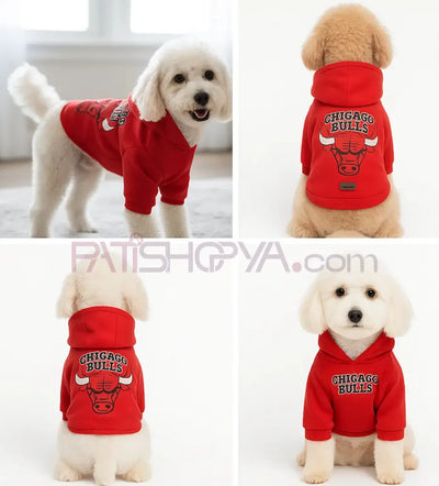 Chicago Bulls Sweatshirt S-M-M-L-XL (5 BEDEN SET)