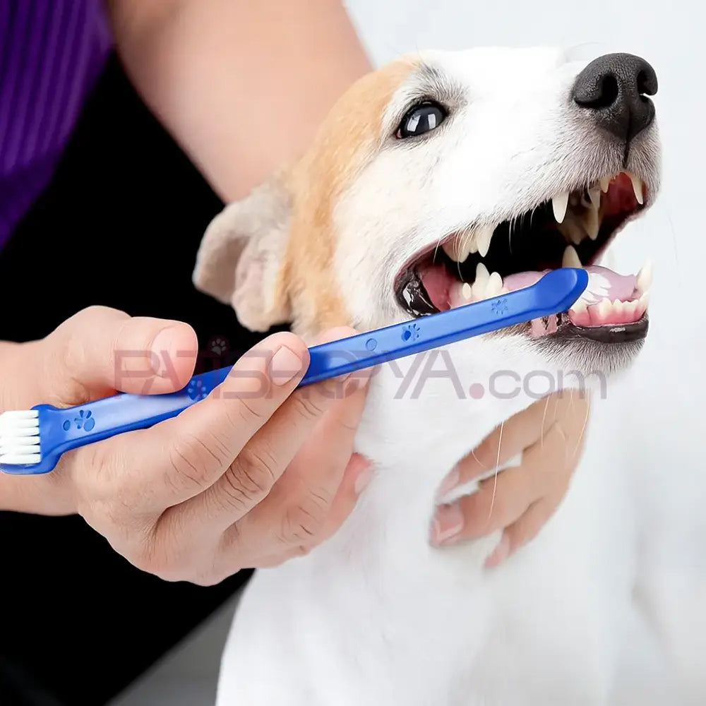 Çift taraflı 4’lü köpek ve kedi diş temizleme fırçası seti Kedi ve Köpek Bakım Ürünleri