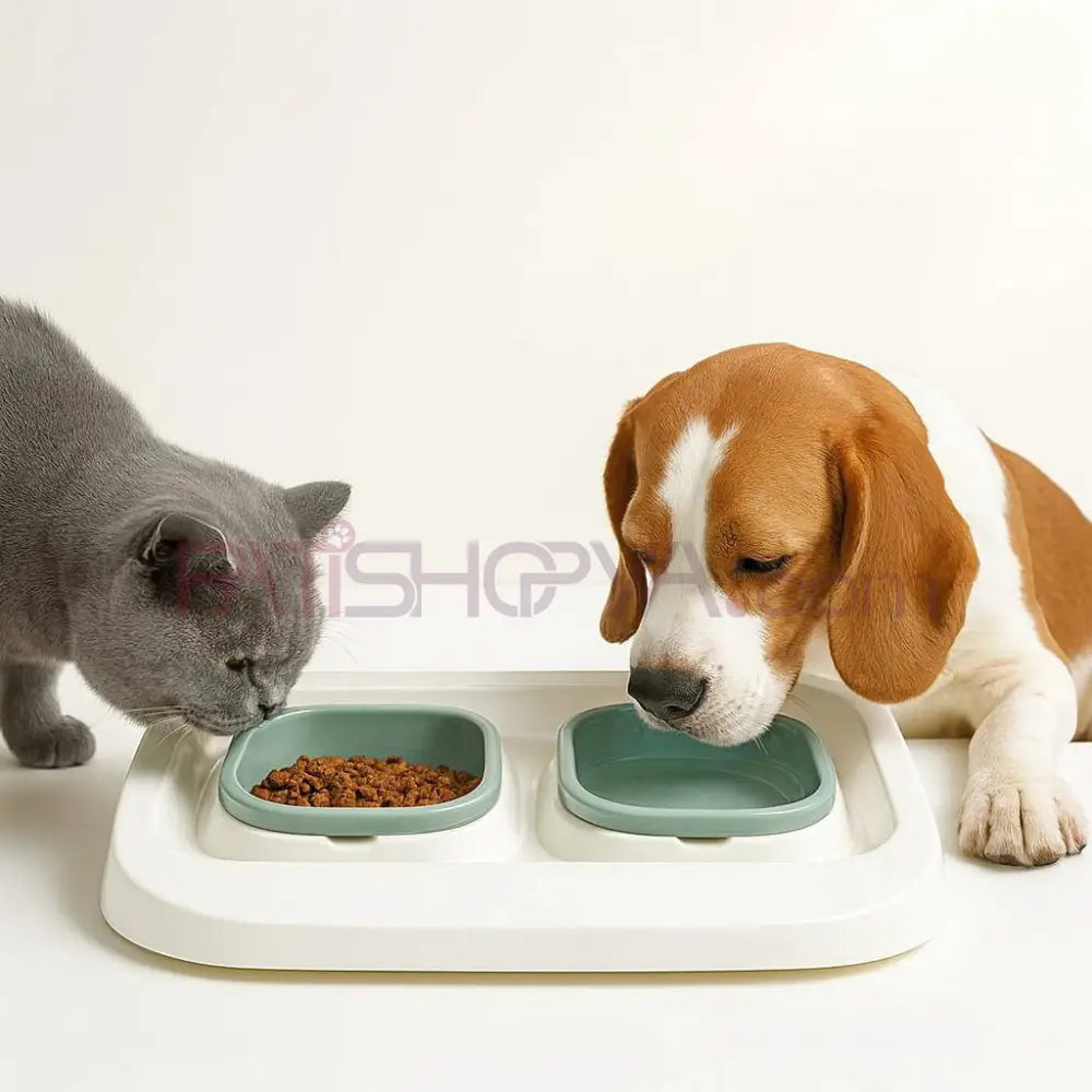 Ergonomik Eğimli ve Siperli İkili Kedi Köpek Mama Su Kabı