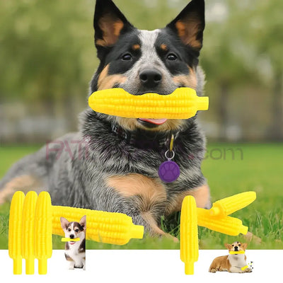 Evcil Hayvan Sesli Mısır Modelli Isırma Oyuncak 1 ADET