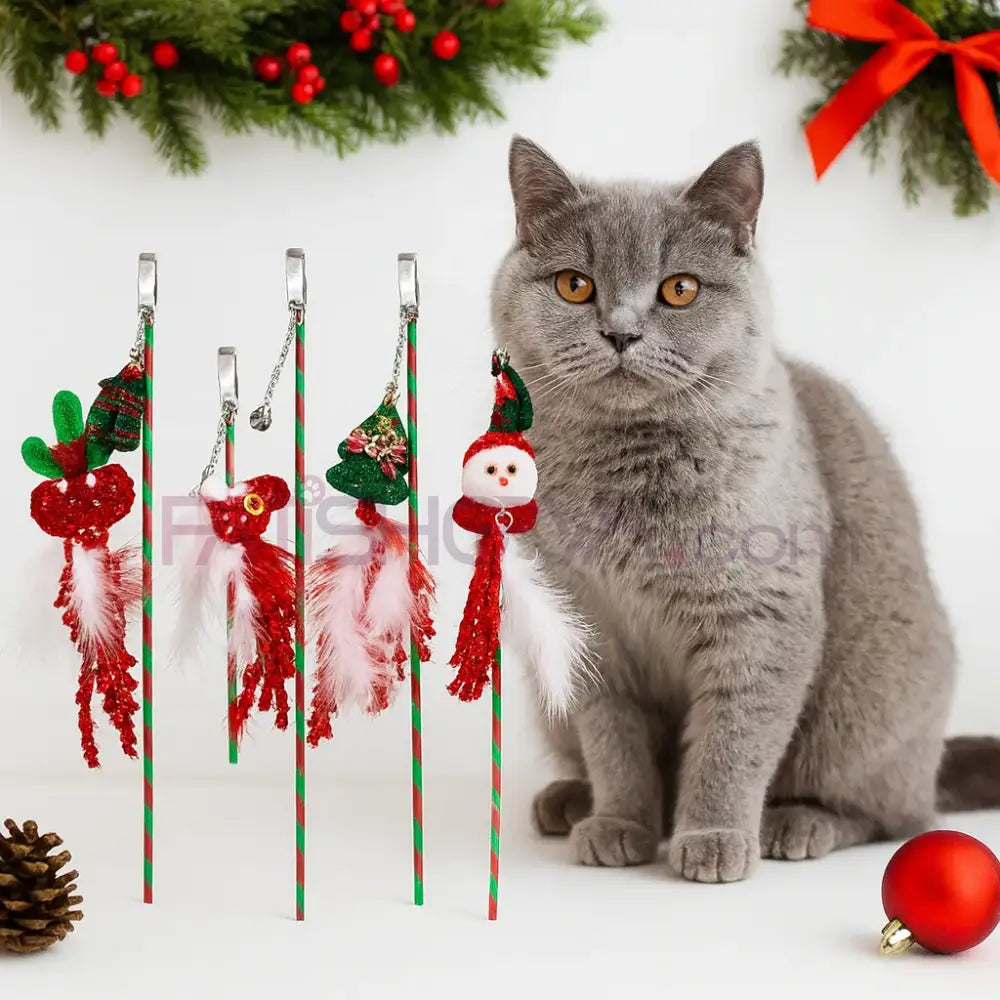 Evcil Hayvan Yılbaşı Konsepti Olta Kedi Olta Oyuncakları