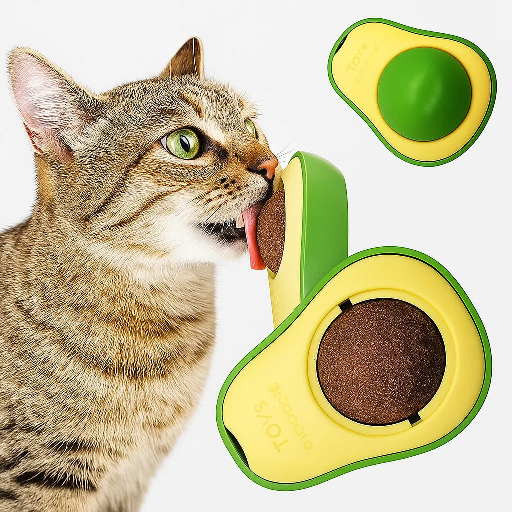 Kedi Avakado Model Catnip Yalama Topu