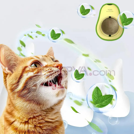 Kedi Avakado Model Catnip Yalama Topu Kedi Oyuncakları