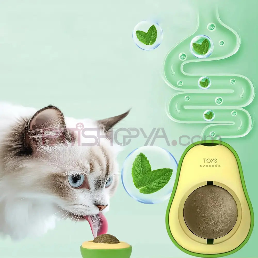 Kedi Avakado Model Catnip Yalama Topu Kedi Oyuncakları