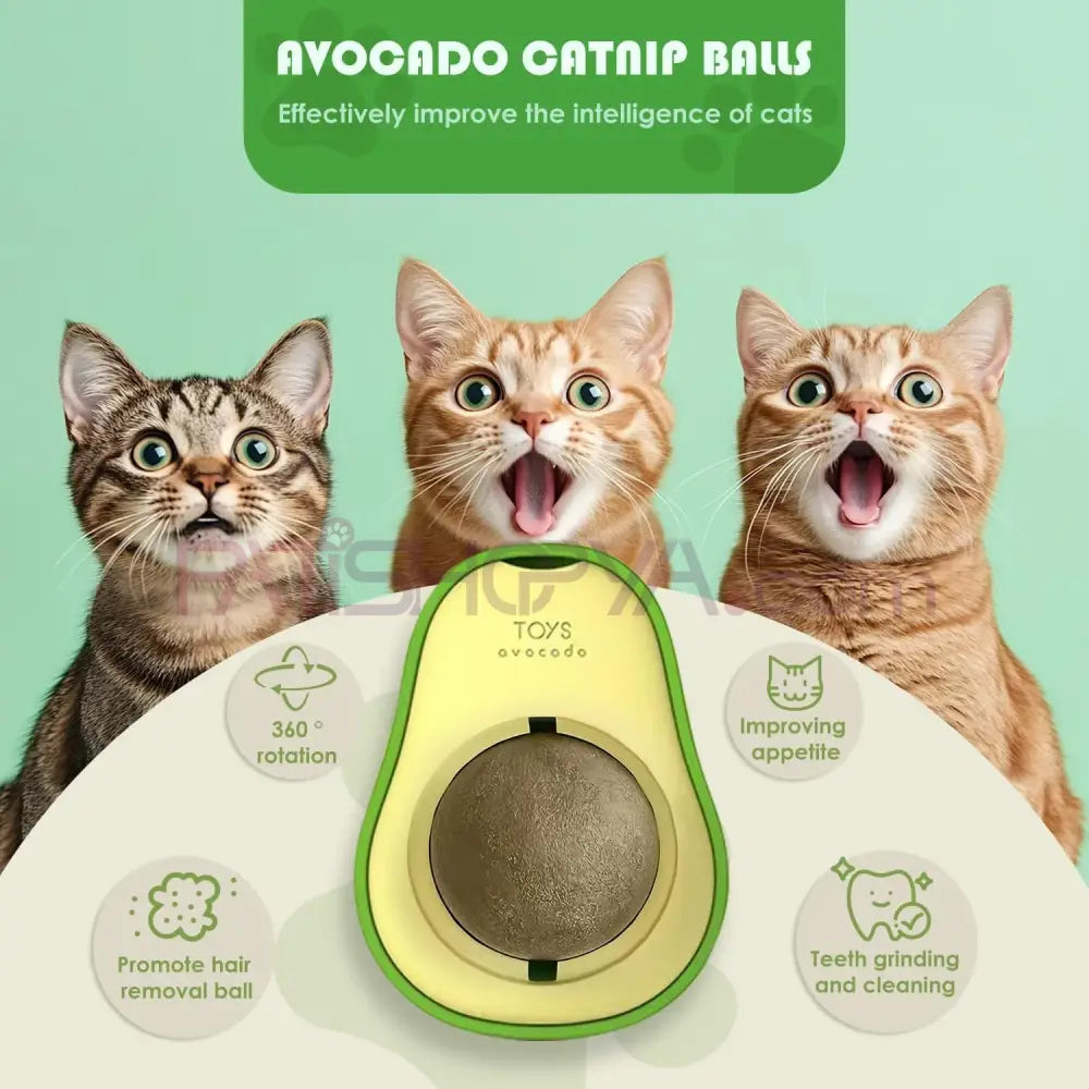 Kedi Avakado Model Catnip Yalama Topu Kedi Oyuncakları