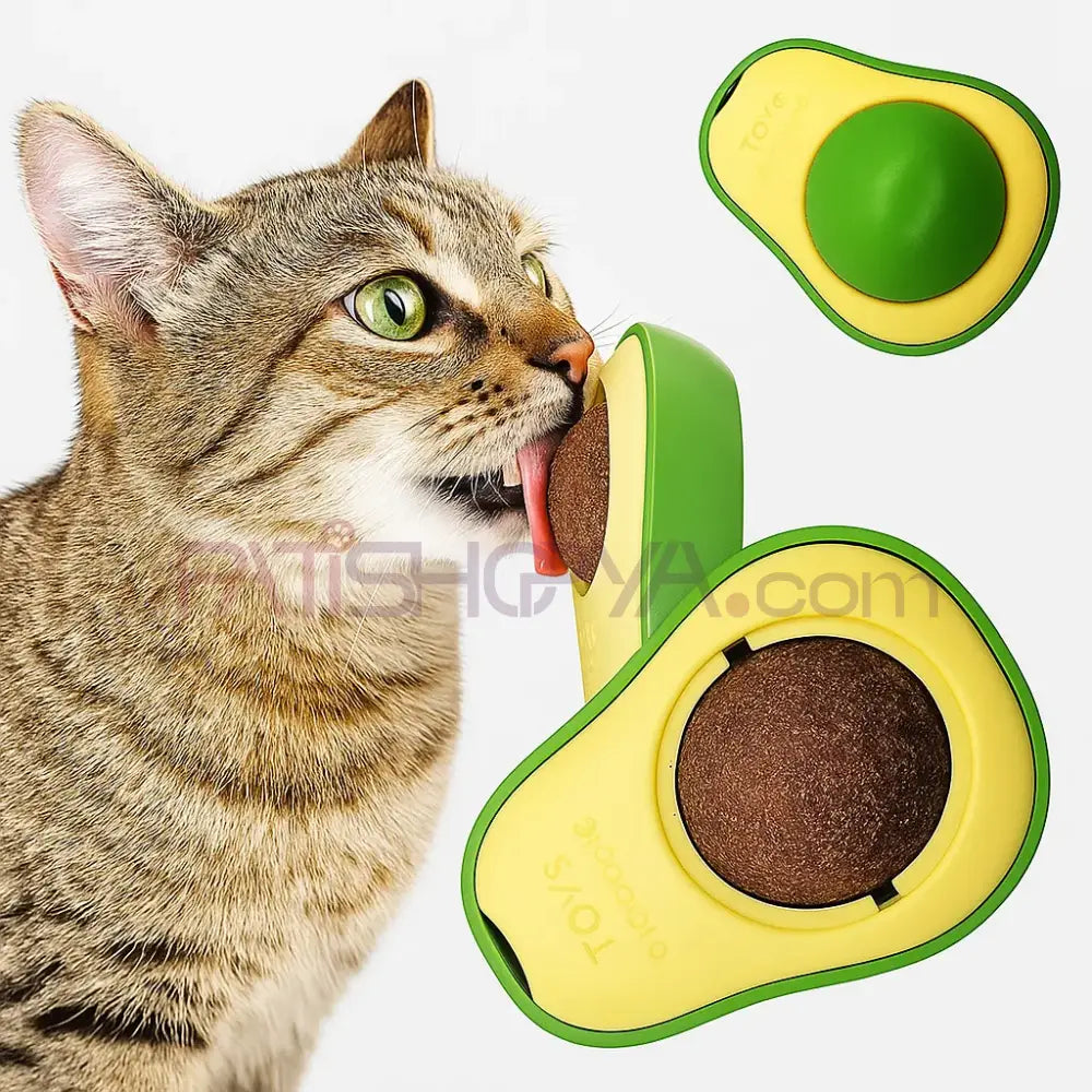 Kedi Avakado Model Catnip Yalama Topu Kedi Oyuncakları