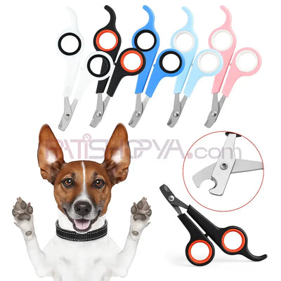 Kedi Köpek Tırnak Makası Tekli Kutulu