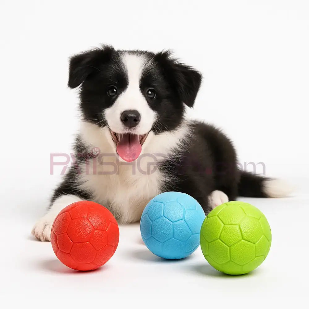 Küçük Evcil Hayvan Hentbol Topu Sert KARTON ASKILI Köpek Oyuncakları