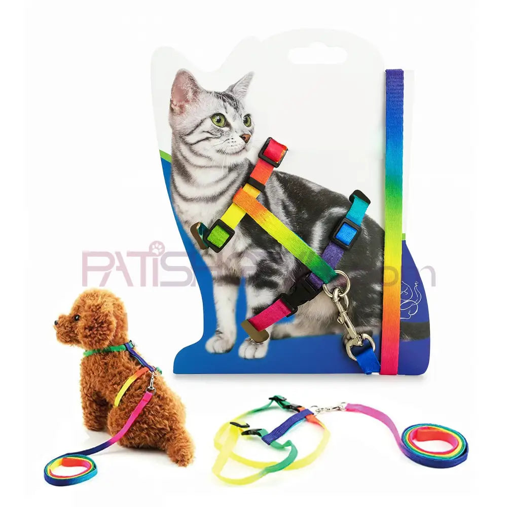 Küçük Irk Gökkuşağı Bel Tasması Kedi ve Köpek Tasmaları