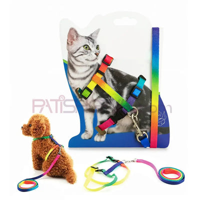 Küçük Irk Gökkuşağı Bel Tasması