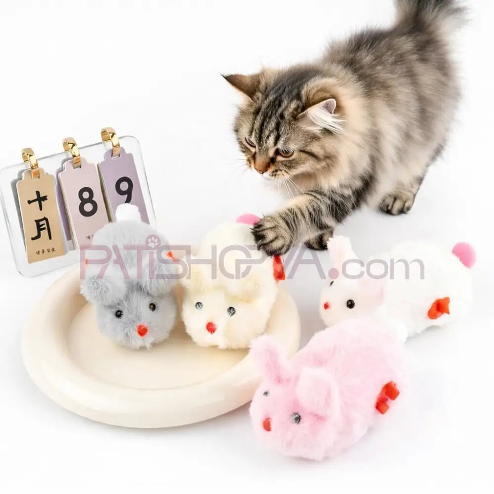 Kurmalı Tavşan Kedi Oyuncağı Kedi Oyuncakları