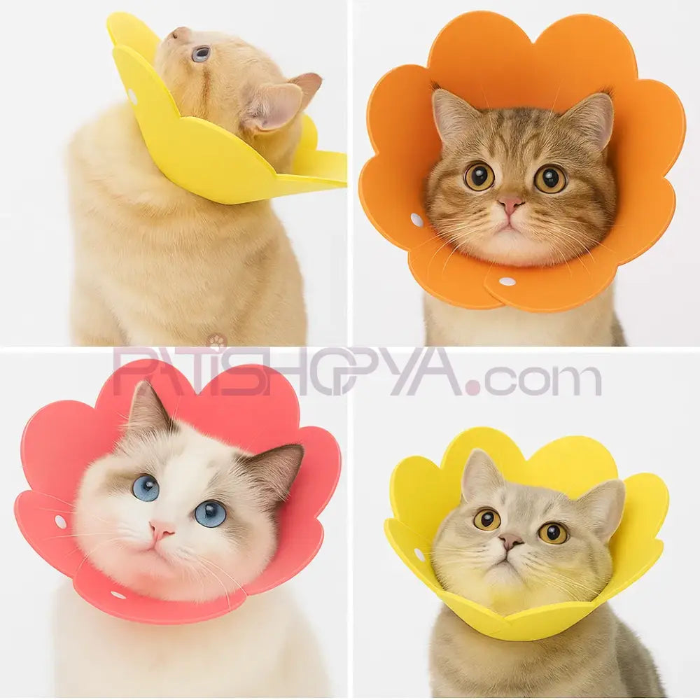 L Evcil Hayvan Elizabeth Yakalık Kelepçeli Kedi ve Köpek Bakım Ürünleri