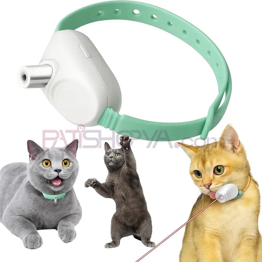 Lazer Kedi Boyunluğu (KUTULU) Kedi Oyuncakları