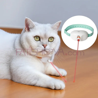 Lazer Kedi Boyunluğu (KUTULU) Kedi Oyuncakları