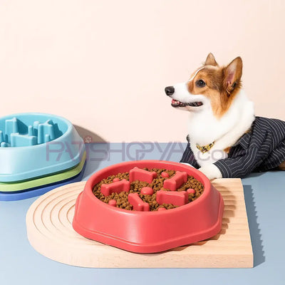 Obezite Engelleyici Yavaş Yeme Köpek Mama Kabı
