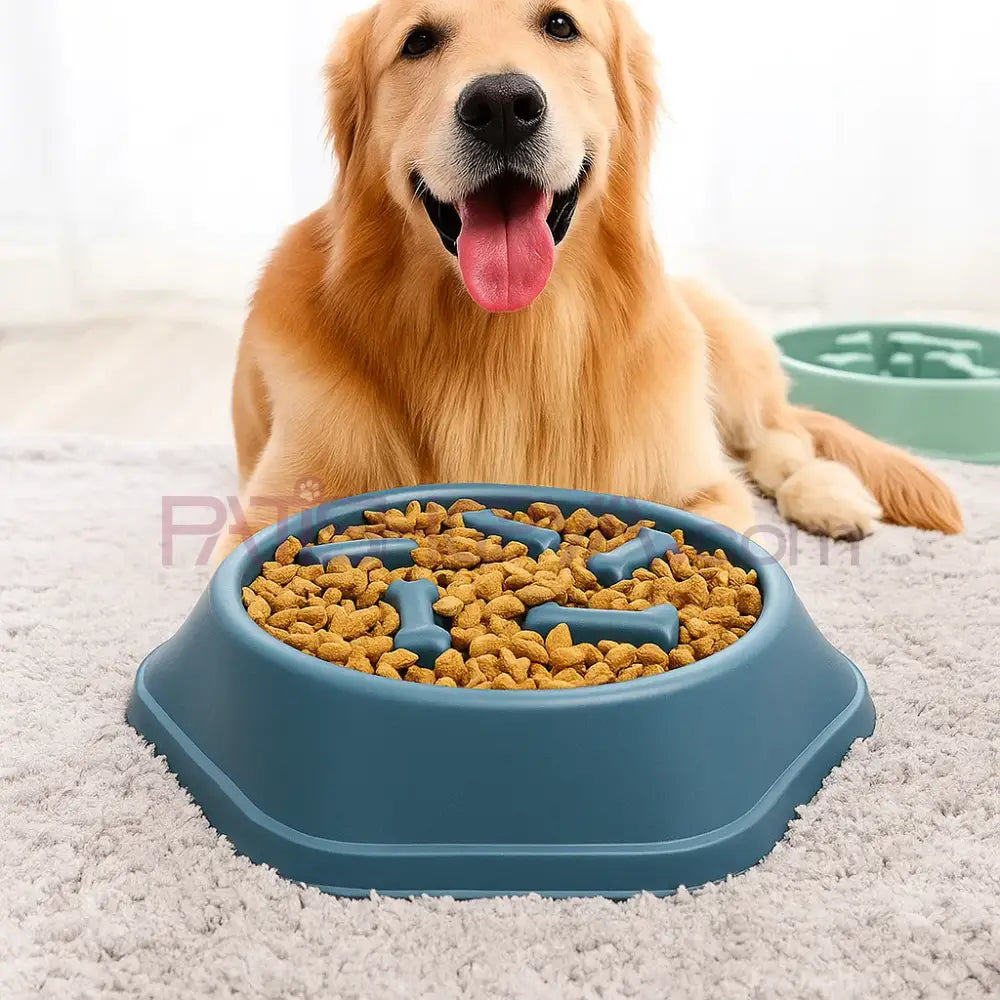 Obezite Engelleyici Yavaş Yeme Mama Kabı Kedi ve Köpek Mama Su Kabı