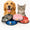 22 Cm Renkli Baskılı Paslanmaz Çelik Kedi Köpek Mama Su Kabı Toptan Pet Shop Ürünleri Büyük Boy Çelik Mama Kabı