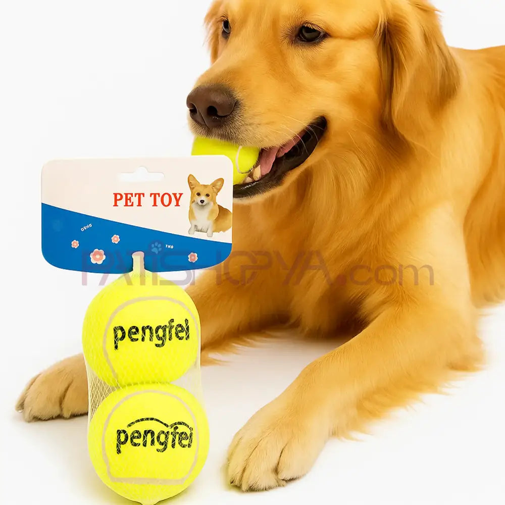 2Li Sert Köpek Tenis Topu Köpek Oyuncağı Dayanıklı Fırlat Getir Topu