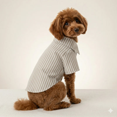 Beyaz Çizgili Bej Gömlek Toptan Köpek Kıyafetleri 5 Beden Set Çizgili Köpek Gömleği