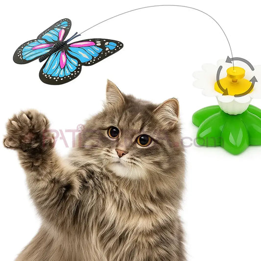 Pilli Dönen Kelebek Oyuncak Kedi Oyuncakları