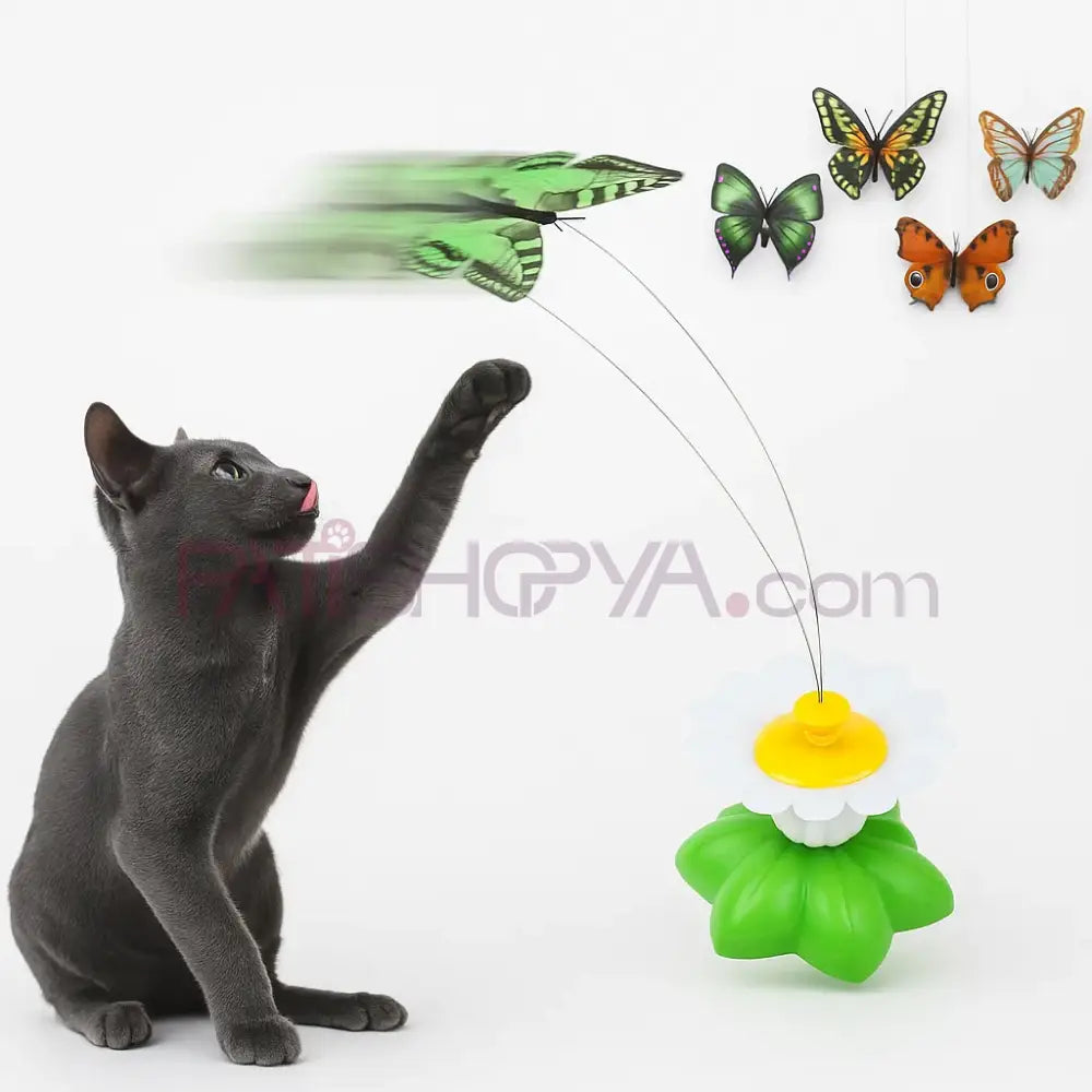 Pilli Dönen Kelebek Oyuncak Kedi Oyuncakları