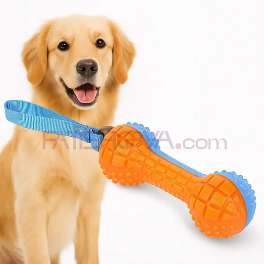 Dumbell Model Köpek Isırma Oyuncak Köpek Oyuncakları