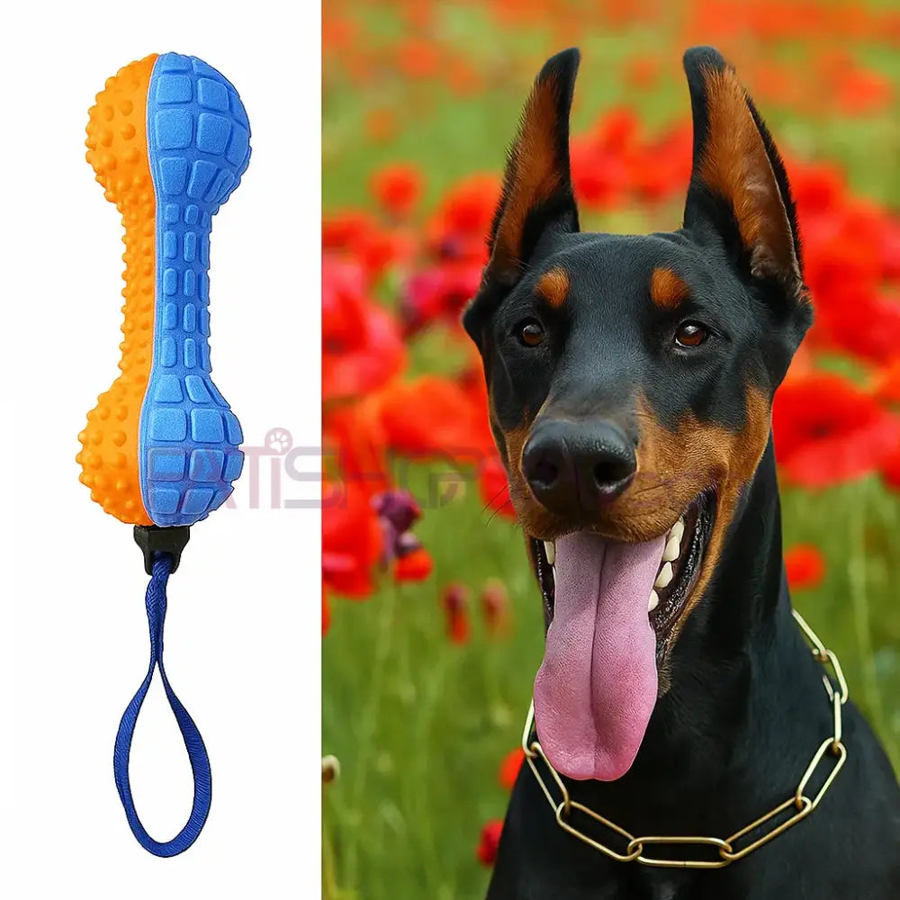 Dumbell Model Köpek Isırma Oyuncak Köpek Oyuncakları