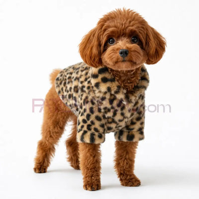 Furry Warmth Koleksiyonu Leopar Polar Ceket S-M-M-L-XL (5 BEDEN SET) Kedi ve Köpek Kıyafeti